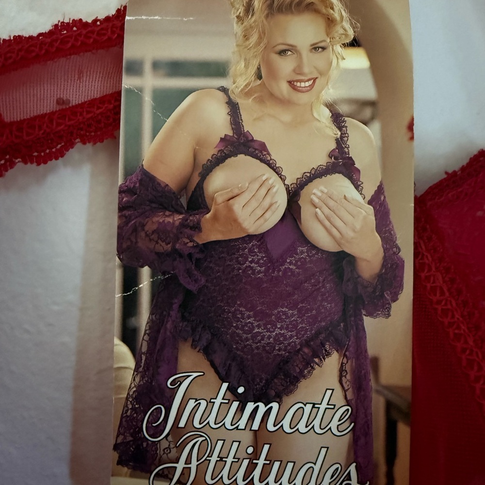 NWT Vintage Red Lace Crotchless Teddy 5X